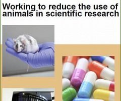 Interesante documento sobre la reducción del uso de animales en investigación