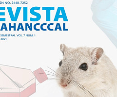 Revista Fesahancccal: Vol.7 Núm.1 (2021)