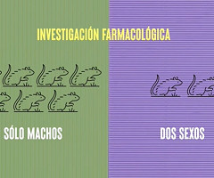 Investigación con ratones: por qué el sexo sí importa (YouTube)