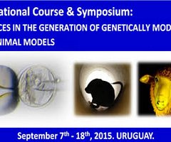 International Course: ADVANCES IN THE GENERATION OF GENETICALLY MODIFIED (GM) ANIMAL MODELS - September 7th to 18th, 2015, Institut Pasteur de Montevideo, Uruguay