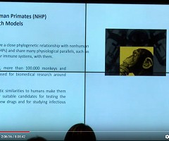 Youtube: IV INTERNATIONAL SYMPOSIUM ON IMMUNOBIOLOGICALS - Inovation Hub - Português