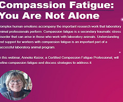 Webinar: Compassion Fatigue: You Are Not Alone