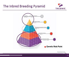 Libre acceso: ON-DEMAND WEBINAR Survival Guide to Maintaining Genetic Integrity in Breeding Colonies