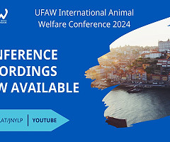 Conferencia internacional sobre bienestar animal de la UFAW 2024: Ahora disponible en YouTube