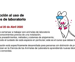 Aula Virtual Bioterio: Introducción al uso de animales de laboratorio