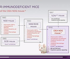 Webinars gratuitos: Modelos de ratones humanizados utilizados en inmuno-oncología (Parte I y II)