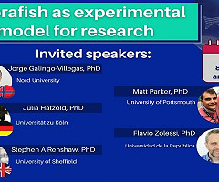 Webinar: Zebrafish as an experimental model for research